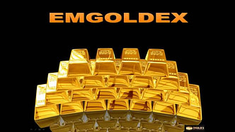 What Is EmGoldex logo
